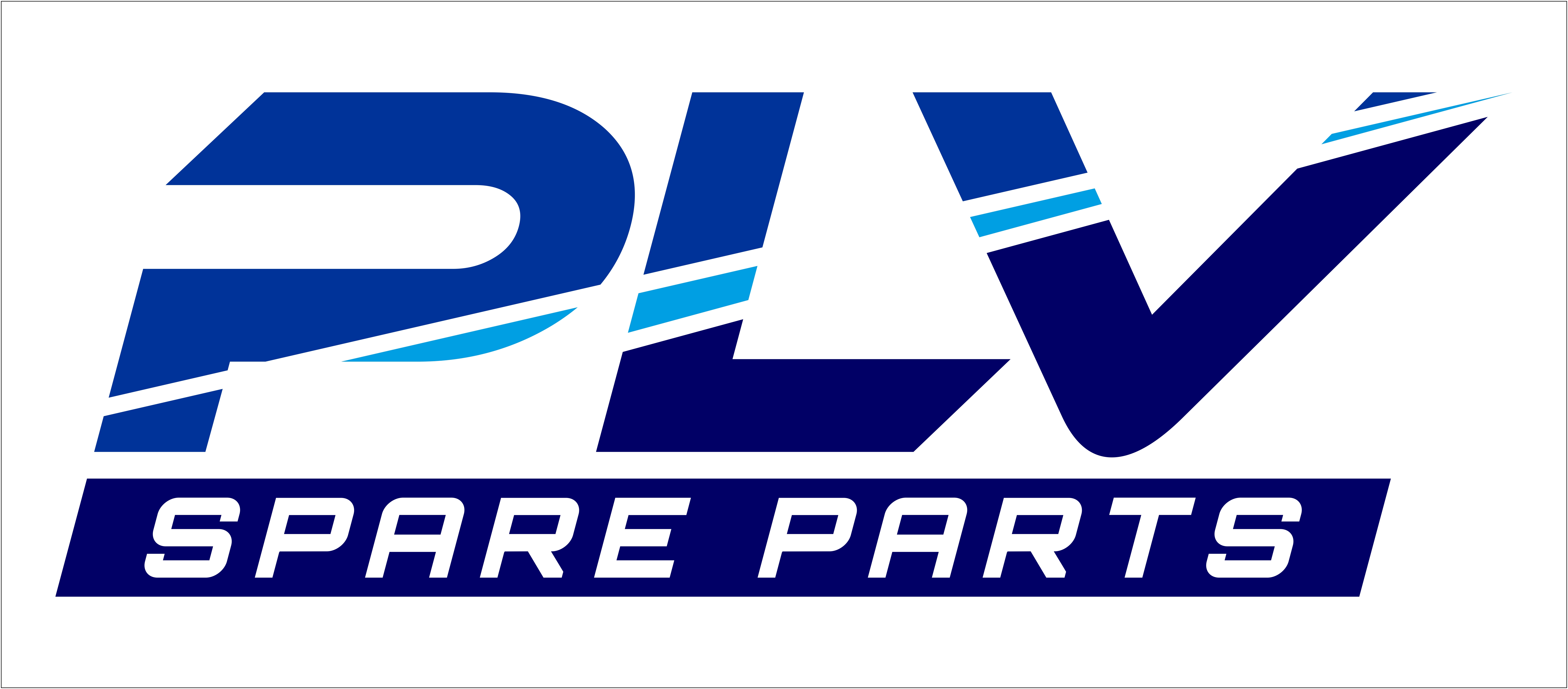 Pehlivan Otomotiv company logo featuring the business name and branding for an automotive parts supplier based in Sakarya, Turkey